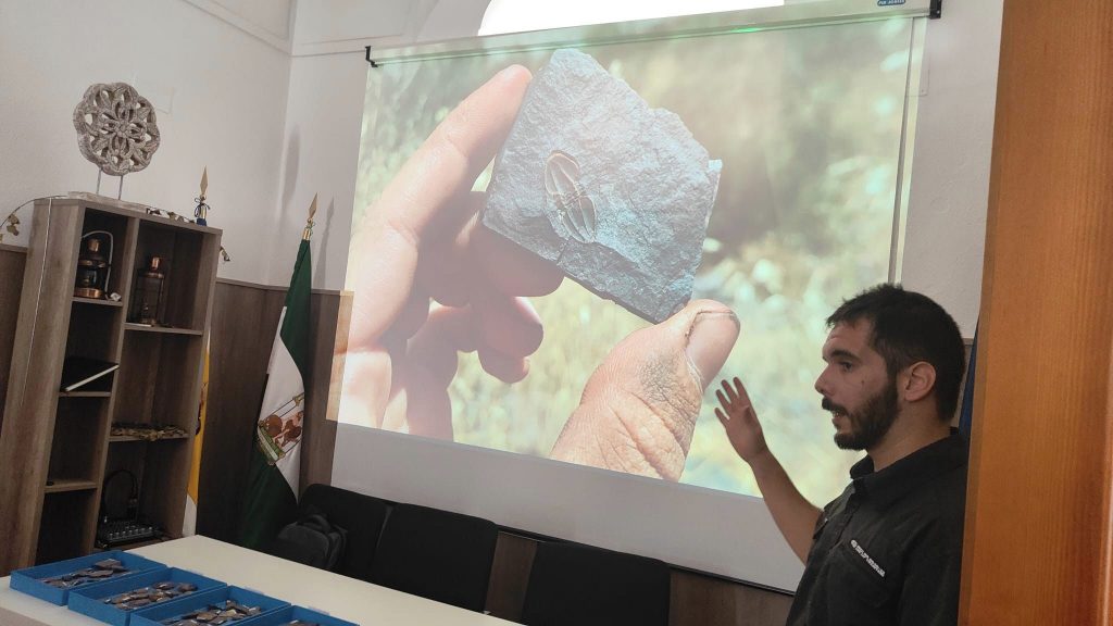 Trilobites del Período Cámbrico 
 Hallazgo:Término Municipal Cumbres de San Bart...